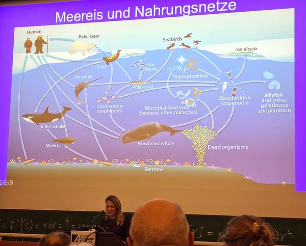 Quelle: Ursula Kromer